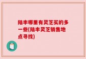 陆丰哪里有灵芝买的多一些(陆丰灵芝销售地点寻找)