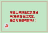 石壁上采野生红灵芝好吗(采摘野生红灵芝，是否对石壁有影响？)