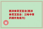 西洋参灵芝百合(西洋参灵芝百合：三味中草药提升免疫力)