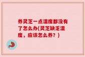 养灵芝一点湿度都没有了怎么办(灵芝缺乏湿度，应该怎么养？)