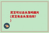 灵芝可以去头发吗图片(灵芝有去头发功效？)