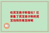 吃灵芝孢子粉变化？已采集了灵芝孢子粉的灵芝功效作用怎样呢