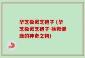 华芝极灵芝孢子 (华芝极灵芝孢子-拯救健康的神奇之物)
