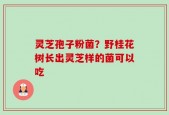 灵芝孢子粉菌？野桂花树长出灵芝样的菌可以吃