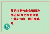 灵芝红枣气血食谱图片及功效(灵芝红枣食谱：滋补气血，提升免疫力)