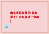 山东省临朐灵芝(临朐灵芝：山东省又一宝藏)
