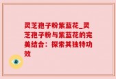 灵芝孢子粉紫蓝花_灵芝孢子粉与紫蓝花的完美结合：探索其独特功效