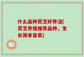 什么品种灵芝好养活(灵芝养殖推荐品种，生长简单容易)