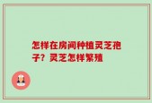 怎样在房间种植灵芝孢子？灵芝怎样繁殖