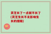 灵芝长了一点就不长了(灵芝生长不足影响生长的措施)
