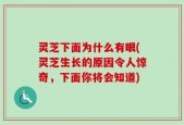 灵芝下面为什么有眼(灵芝生长的原因令人惊奇，下面你将会知道)