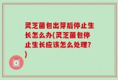 灵芝菌包出芽后停止生长怎么办(灵芝菌包停止生长应该怎么处理？)