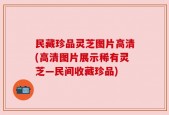 民藏珍品灵芝图片高清(高清图片展示稀有灵芝—民间收藏珍品)