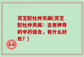 灵芝配杜仲天麻(灵芝配杜仲天麻：古老神奇的中药组合，有什么好处？)