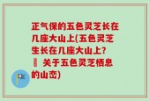 正气保的五色灵芝长在几座大山上(五色灵芝生长在几座大山上？ – 关于五色灵芝栖息的山峦)
