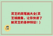 灵芝的简笔画大全(灵芝插图集，让你快速了解灵芝的各种特征！)