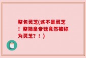 整包灵芝(这不是灵芝！整箱皇帝菇竟然被称为灵芝？！)