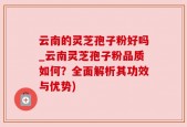 云南的灵芝孢子粉好吗_云南灵芝孢子粉品质如何？全面解析其功效与优势)