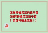 怎样种植灵芝的孢子苗(如何种植灵芝孢子苗？灵芝种植全流程！)