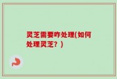 灵芝需要咋处理(如何处理灵芝？)