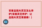 家里盆栽大灵芝怎么养护(家居灵芝养护：让盆栽大灵芝更健康！)