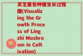灵芝菌包种植生长过程图(Visualizing the Growth Process of Lingzhi Mushroom in Cultivation)