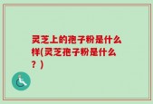 灵芝上的孢子粉是什么样(灵芝孢子粉是什么？)