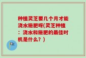 种植灵芝要几个月才能浇水施肥呀(灵芝种植：浇水和施肥的最佳时机是什么？)