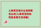 人参灵芝有什么功效呢怎么吃(人参灵芝的功效及食用方法详解)