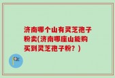 济南哪个山有灵芝孢子粉卖(济南哪座山能购买到灵芝孢子粉？)