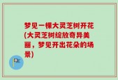 梦见一棵大灵芝树开花(大灵芝树绽放奇异美丽，梦见开出花朵的场景)