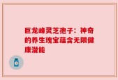 巨龙峰灵芝孢子：神奇的养生瑰宝蕴含无限健康潜能