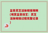 盆景灵芝活体嫁接视频(观赏盆景技艺：灵芝活体嫁接过程完整记录)