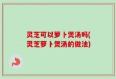 灵芝可以萝卜煲汤吗(灵芝萝卜煲汤的做法)