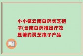 小小疯云南白药灵芝孢子(云南白药推出疗效显著的灵芝孢子产品