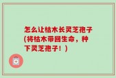 怎么让枯木长灵芝孢子(将枯木带回生命，种下灵芝孢子！)