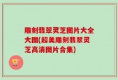 雕刻翡翠灵芝图片大全大图(超美雕刻翡翠灵芝高清图片合集)