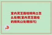 室内灵芝栽培排风口怎么处理(室内灵芝栽培的排风口处理技巧)