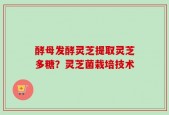 酵母发酵灵芝提取灵芝多糖？灵芝菌栽培技术