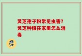 灵芝孢子粉常见虫害？灵芝种植在家里怎么消毒