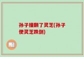 孙子撞翻了灵芝(孙子使灵芝跌倒)