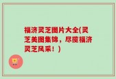 福济灵芝图片大全(灵芝美图集锦，尽揽福济灵芝风采！)