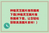 种植灵芝图片推荐图库下载(种植灵芝图片推荐图库下载，让您轻松获取高清图片素材！)