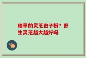 瑞草的灵芝孢子粉？野生灵芝越大越好吗