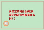 长灵芝的叫什么树(长灵芝的正式名称是什么树？)