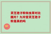 灵芝孢子粉和虫草对比图片？九珍堂灵芝孢子粉是真的吗