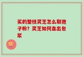 买的整枝灵芝怎么取孢子粉？灵芝如何盘出包浆