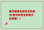焦作哪里有种灵芝的地方(焦作种灵芝的地方在哪里？)
