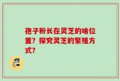 孢子粉长在灵芝的啥位置？探究灵芝的繁殖方式？