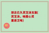 想念已久灵芝汤文案(灵芝汤，唤醒心灵  重逢之味)